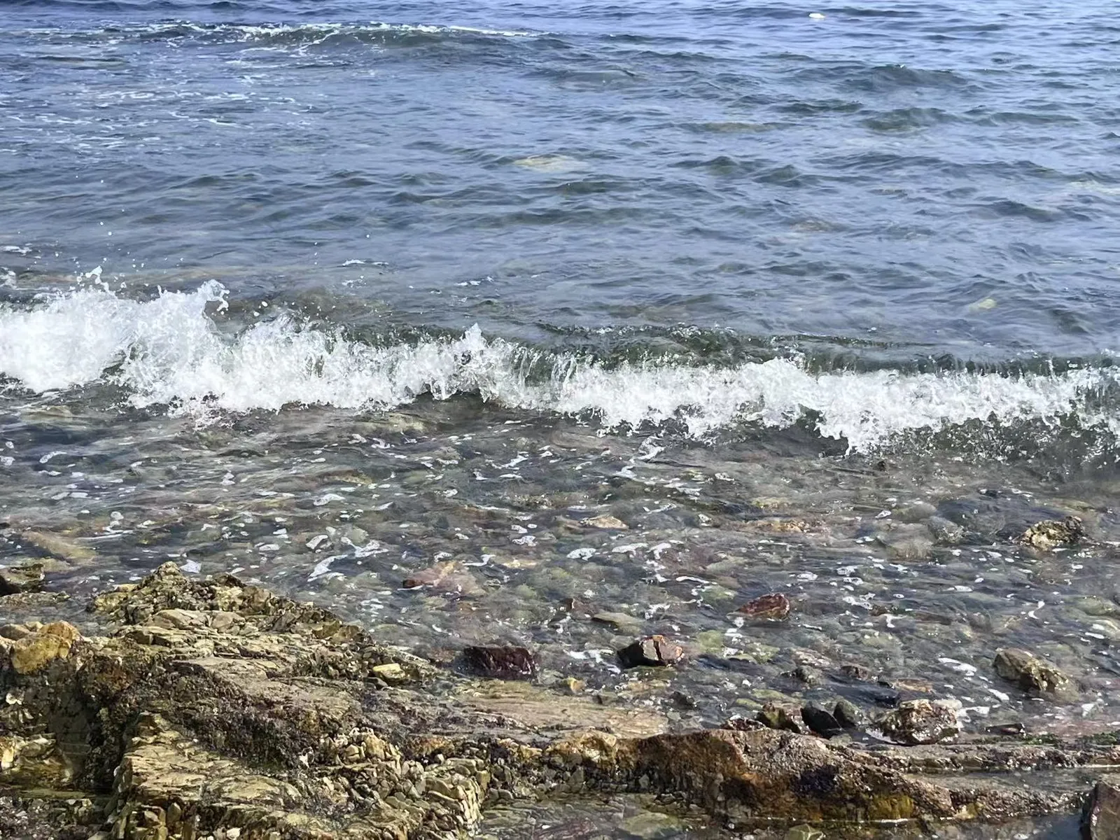 海